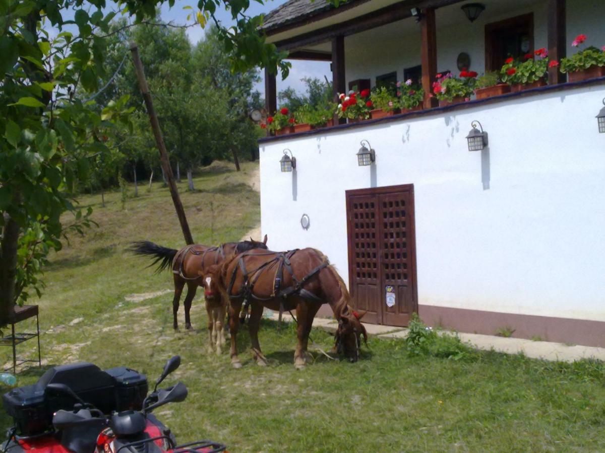 Cottage Poe Poienari Luaran gambar
