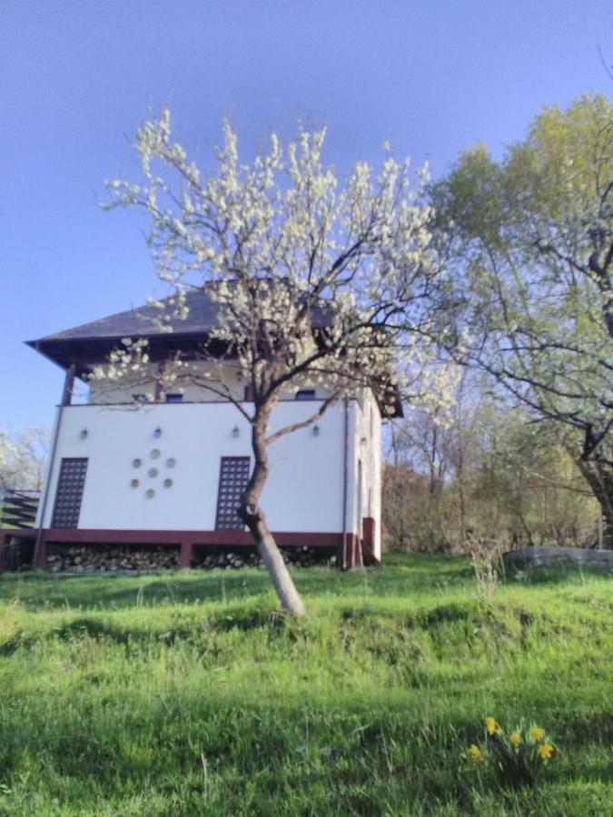 Cottage Poe Poienari Luaran gambar