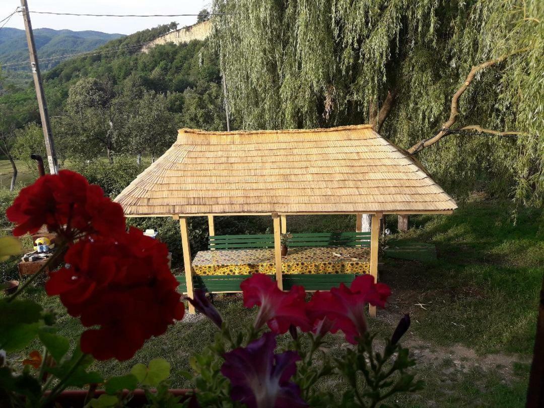 Cottage Poe Poienari Luaran gambar
